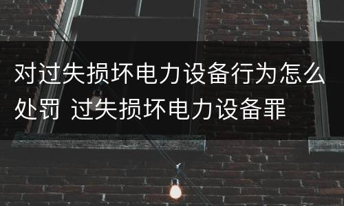 对过失损坏电力设备行为怎么处罚 过失损坏电力设备罪