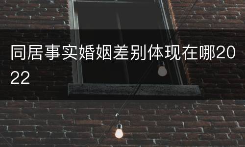 同居事实婚姻差别体现在哪2022