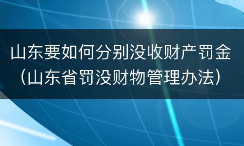 山东要如何分别没收财产罚金（山东省罚没财物管理办法）