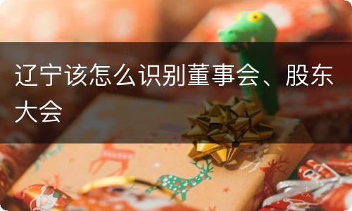 辽宁该怎么识别董事会、股东大会