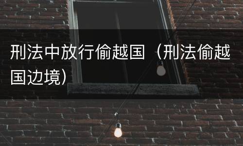 刑法中放行偷越国（刑法偷越国边境）