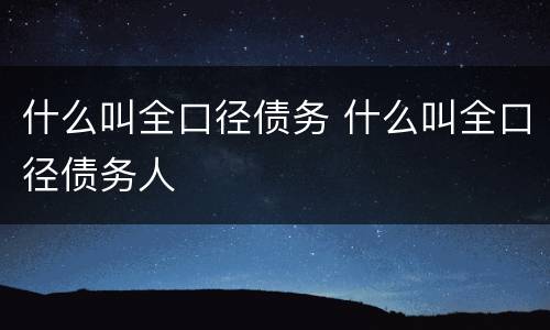 什么叫全口径债务 什么叫全口径债务人