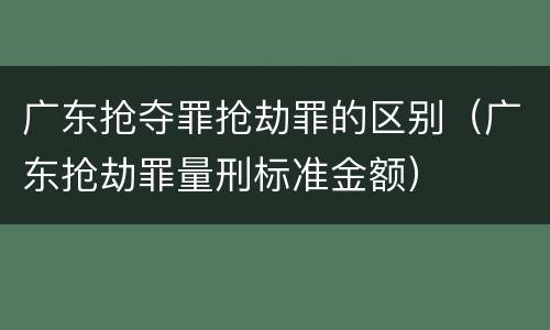 广东抢夺罪抢劫罪的区别（广东抢劫罪量刑标准金额）