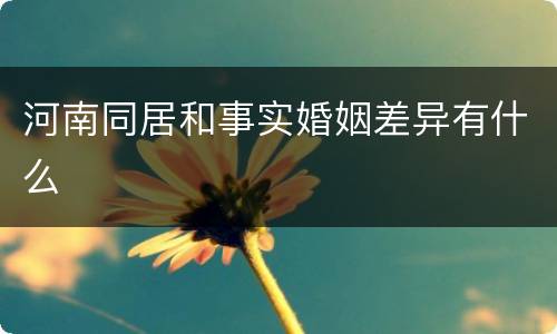 河南同居和事实婚姻差异有什么