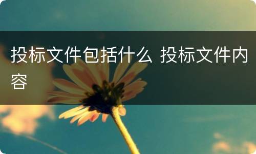 投标文件包括什么 投标文件内容