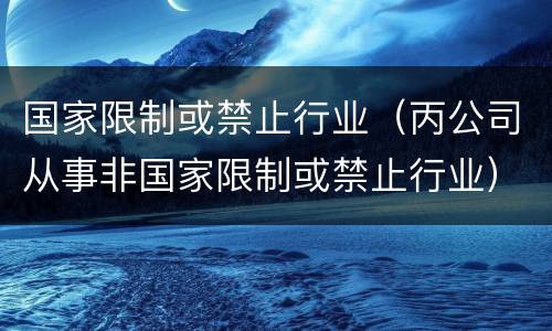 国家限制或禁止行业（丙公司从事非国家限制或禁止行业）