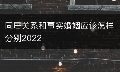 同居关系和事实婚姻应该怎样分别2022