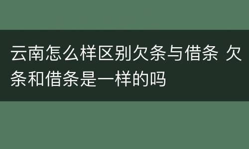 云南怎么样区别欠条与借条 欠条和借条是一样的吗
