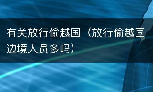有关放行偷越国（放行偷越国边境人员多吗）