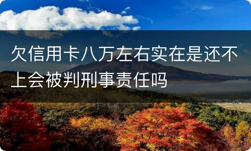 欠信用卡八万左右实在是还不上会被判刑事责任吗