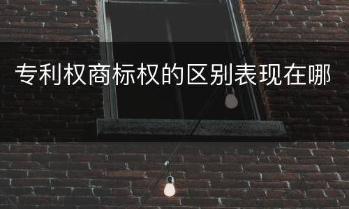 专利权商标权的区别表现在哪