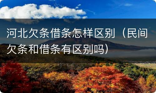 河北欠条借条怎样区别（民间欠条和借条有区别吗）
