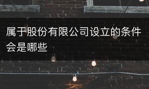 属于股份有限公司设立的条件会是哪些