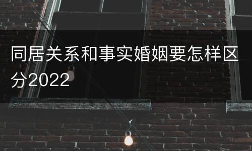 同居关系和事实婚姻要怎样区分2022