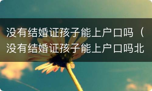 没有结婚证孩子能上户口吗（没有结婚证孩子能上户口吗北京）