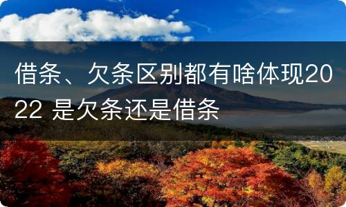 借条、欠条区别都有啥体现2022 是欠条还是借条
