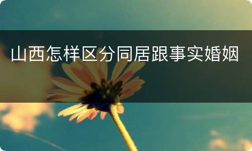 山西怎样区分同居跟事实婚姻