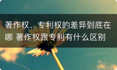 著作权、专利权的差异到底在哪 著作权跟专利有什么区别