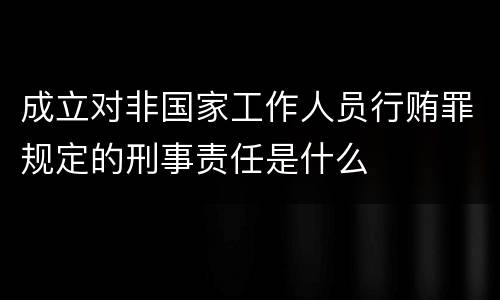 成立对非国家工作人员行贿罪规定的刑事责任是什么