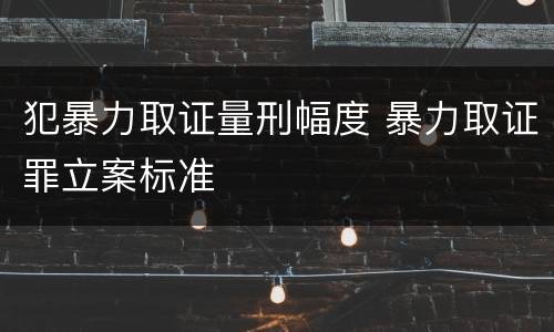 犯暴力取证量刑幅度 暴力取证罪立案标准
