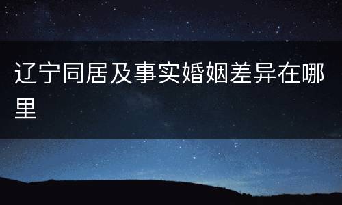 辽宁同居及事实婚姻差异在哪里
