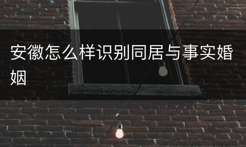 安徽怎么样识别同居与事实婚姻
