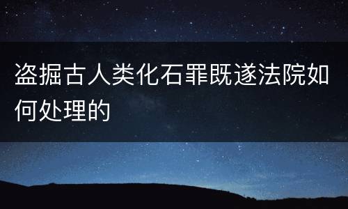盗掘古人类化石罪既遂法院如何处理的