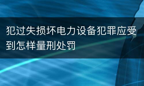 犯过失损坏电力设备犯罪应受到怎样量刑处罚