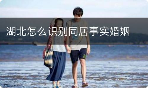 湖北怎么识别同居事实婚姻
