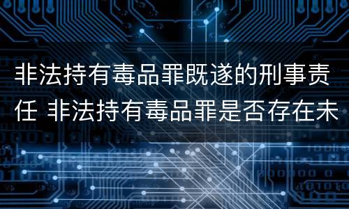 非法持有毒品罪既遂的刑事责任 非法持有毒品罪是否存在未遂