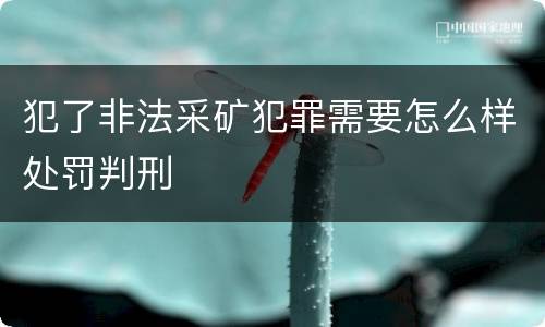 犯了非法采矿犯罪需要怎么样处罚判刑
