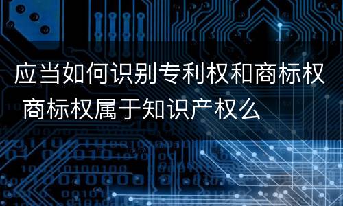 应当如何识别专利权和商标权 商标权属于知识产权么
