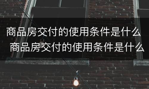 商品房交付的使用条件是什么 商品房交付的使用条件是什么意思