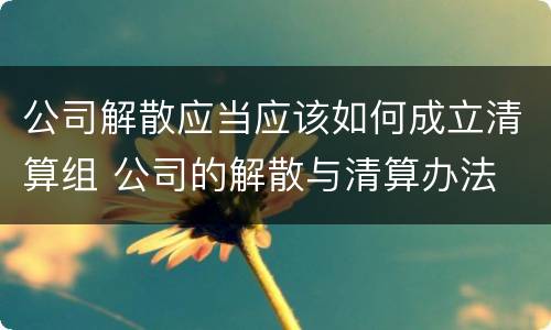 公司解散应当应该如何成立清算组 公司的解散与清算办法
