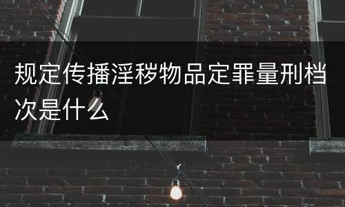 规定传播淫秽物品定罪量刑档次是什么