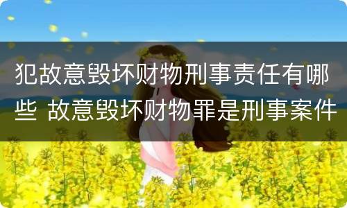 犯故意毁坏财物刑事责任有哪些 故意毁坏财物罪是刑事案件吗