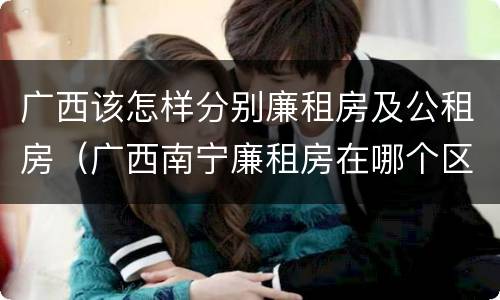 广西该怎样分别廉租房及公租房（广西南宁廉租房在哪个区域）