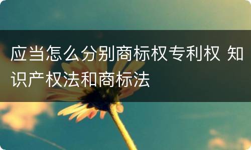 应当怎么分别商标权专利权 知识产权法和商标法