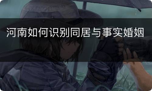 河南如何识别同居与事实婚姻