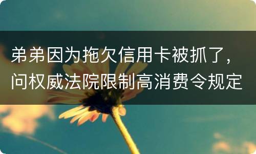 弟弟因为拖欠信用卡被抓了，问权威法院限制高消费令规定是什么