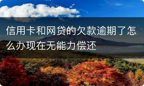 信用卡和网贷的欠款逾期了怎么办现在无能力偿还