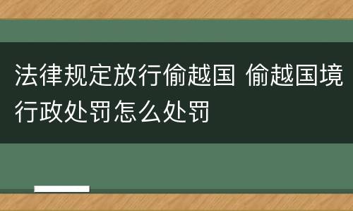法律规定放行偷越国 偷越国境行政处罚怎么处罚