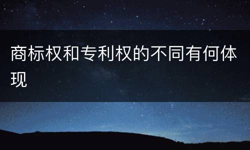 商标权和专利权的不同有何体现