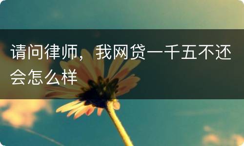 请问律师，我网贷一千五不还会怎么样