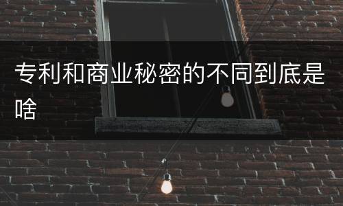 专利和商业秘密的不同到底是啥