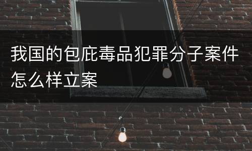 我国的包庇毒品犯罪分子案件怎么样立案