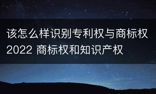 该怎么样识别专利权与商标权2022 商标权和知识产权