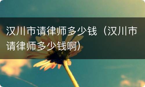 汉川市请律师多少钱（汉川市请律师多少钱啊）