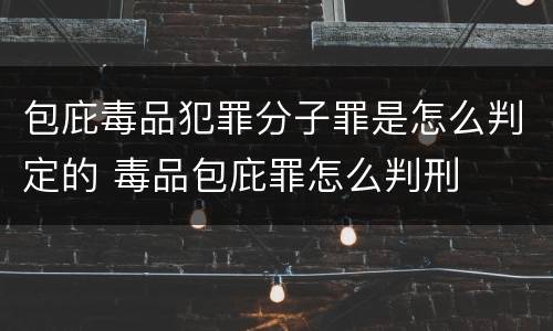 包庇毒品犯罪分子罪是怎么判定的 毒品包庇罪怎么判刑