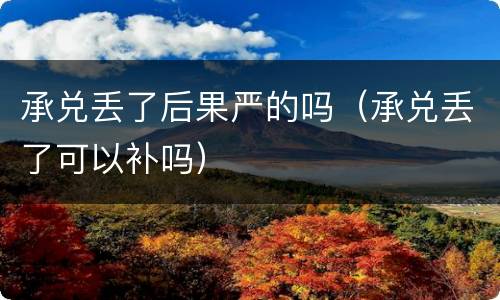 承兑丢了后果严的吗（承兑丢了可以补吗）